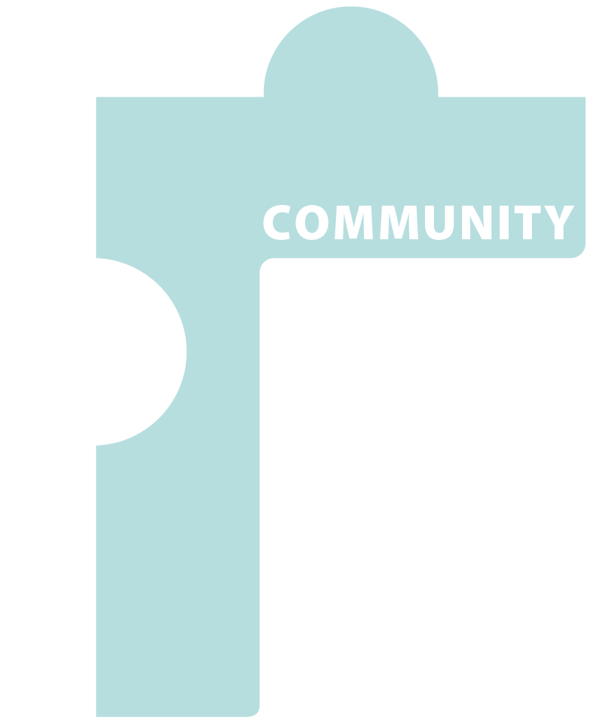 Puzzle piece used to represent Community